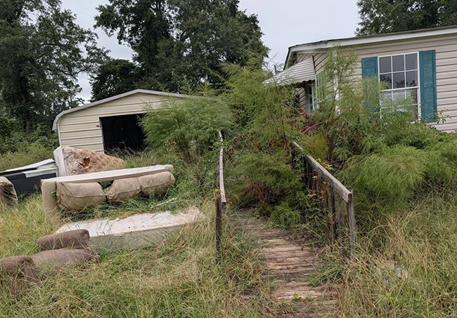 Woodruff Inherited Home 1 Front Yard Overgrown